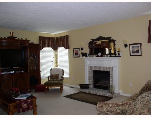 4236 Clendenning Road Gibsonia, PA 15044 - Photo 8 of 14 Den/Family/Great Room. Gas log fireplace