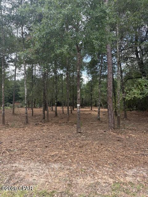 0 Forest Glen Road Fountain, FL 32438 - Photo 4 of 10