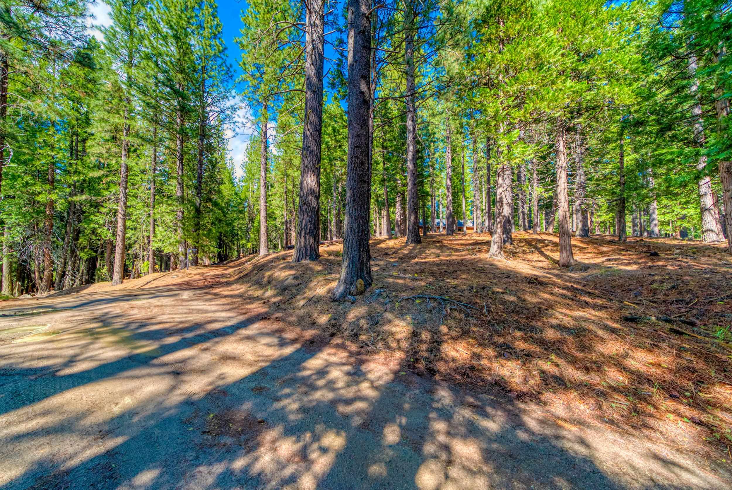 954 Red Fox Road Clio, CA 96106 - Photo 2 of 22