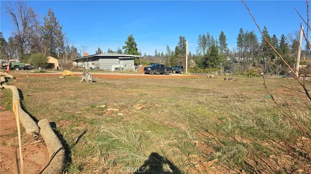 a view of a yard with trees