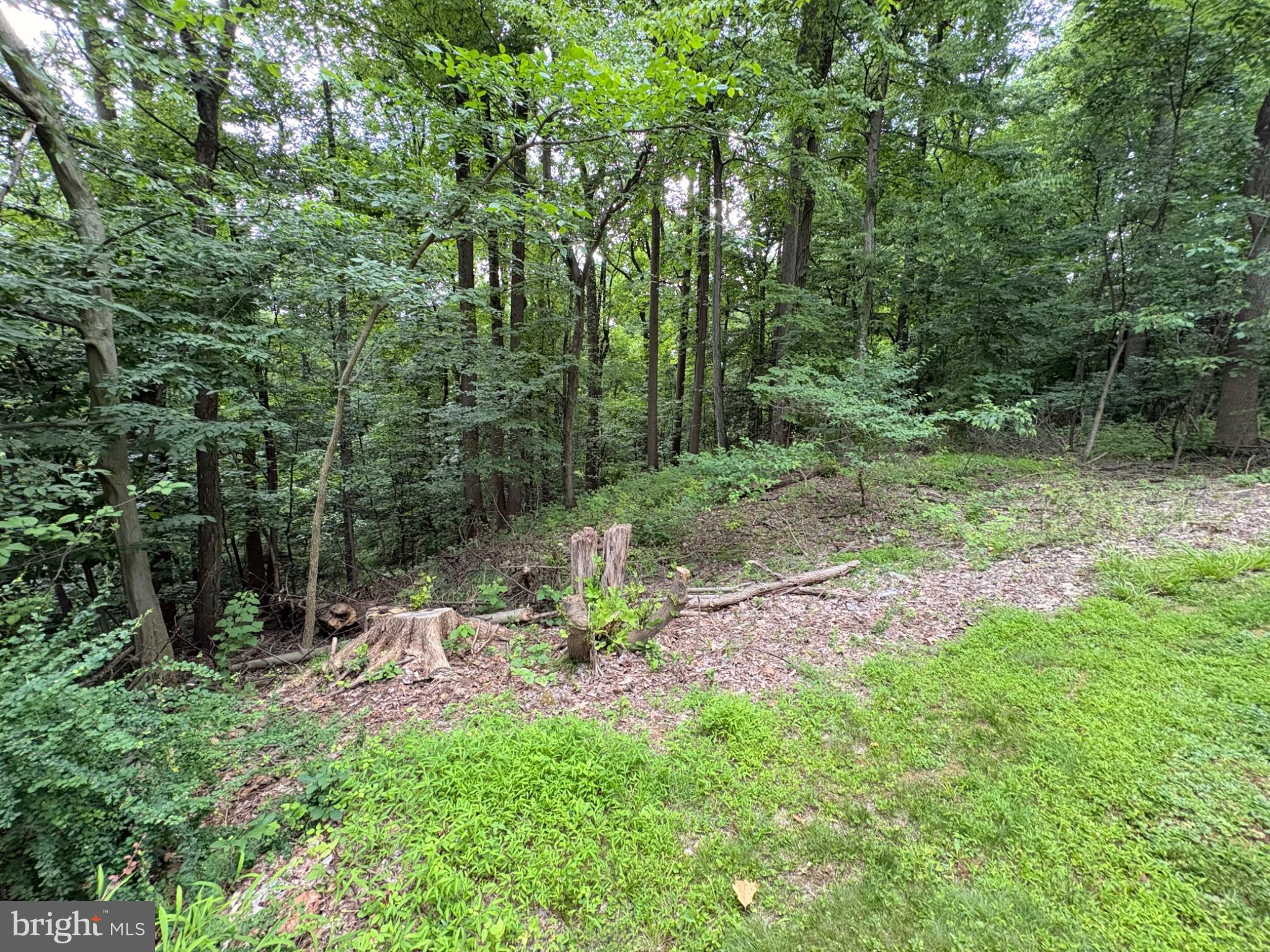 52 Hess Road Boyertown, PA 19512 - Photo 96 of 101 Serene woodland retreat awaits you.