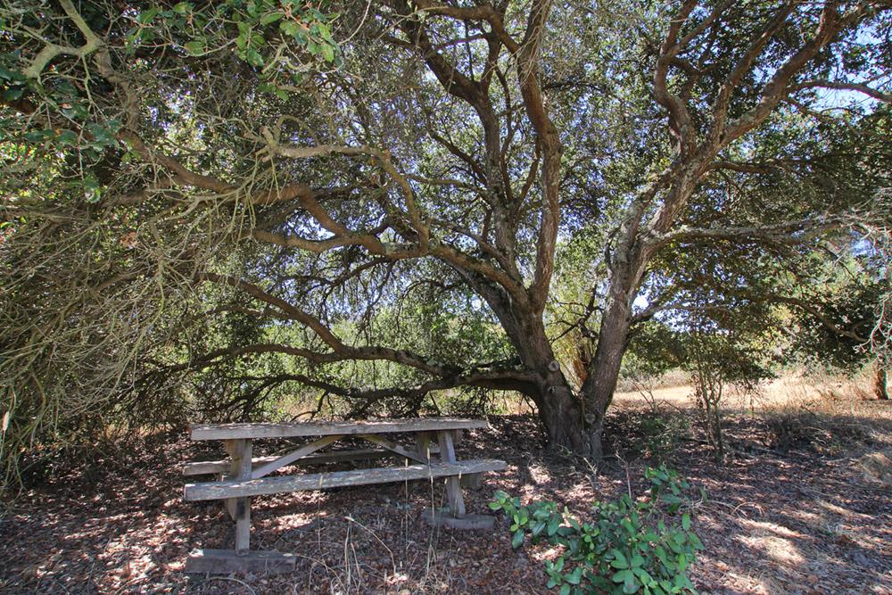 53 Valley View Road Watsonville, CA 95076 - Photo 21 of 38 a backyard of a house with lots of green space