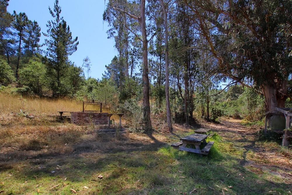 53 Valley View Road Watsonville, CA 95076 - Photo 25 of 38 a view of a fire pit with large trees