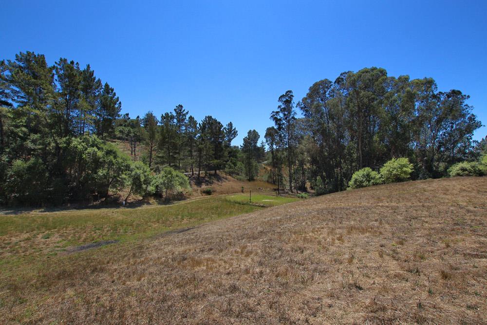 53 Valley View Road Watsonville, CA 95076 - Photo 27 of 38 a view of a field with trees in background