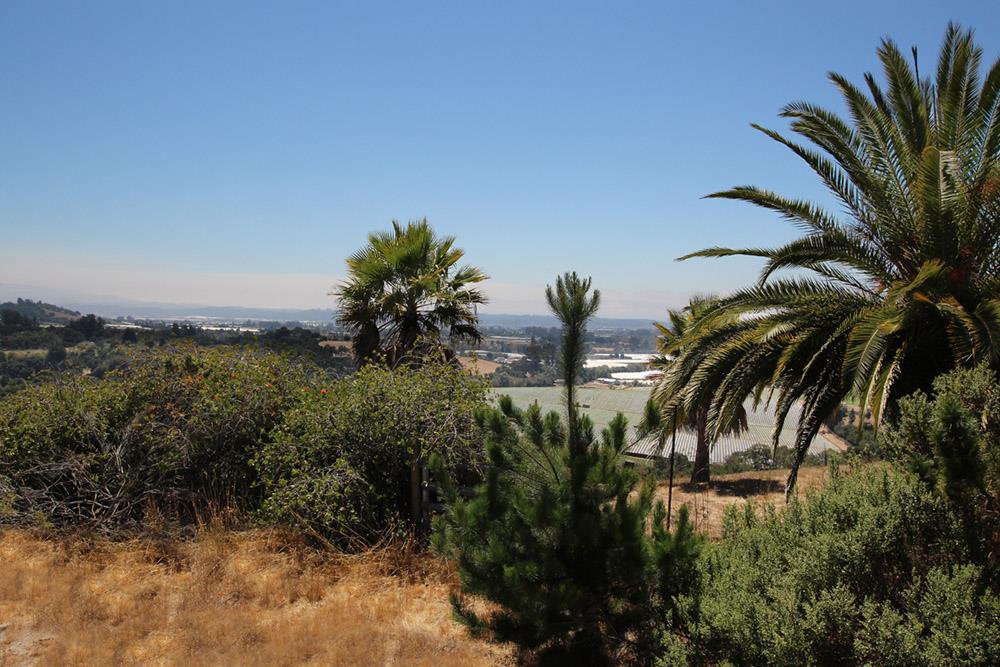 53 Valley View Road Watsonville, CA 95076 - Photo 31 of 38 a view of a garden