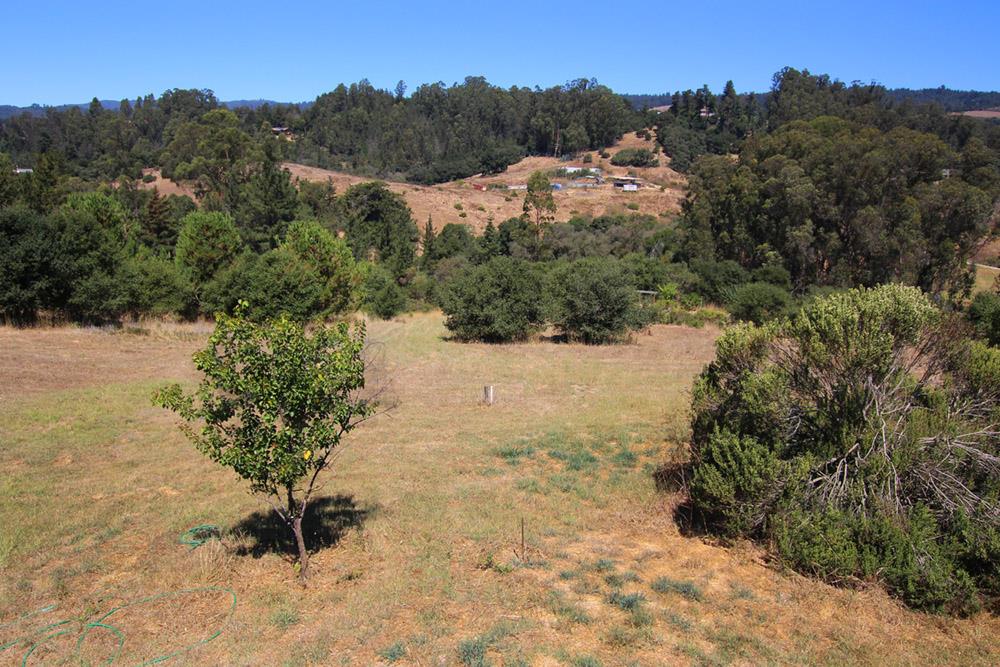 53 Valley View Road Watsonville, CA 95076 - Photo 34 of 38 a view of a yard with a tree