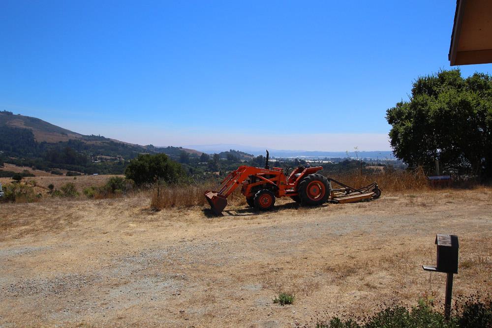 53 Valley View Road Watsonville, CA 95076 - Photo 37 of 38 a view of a dirt road with a large tree