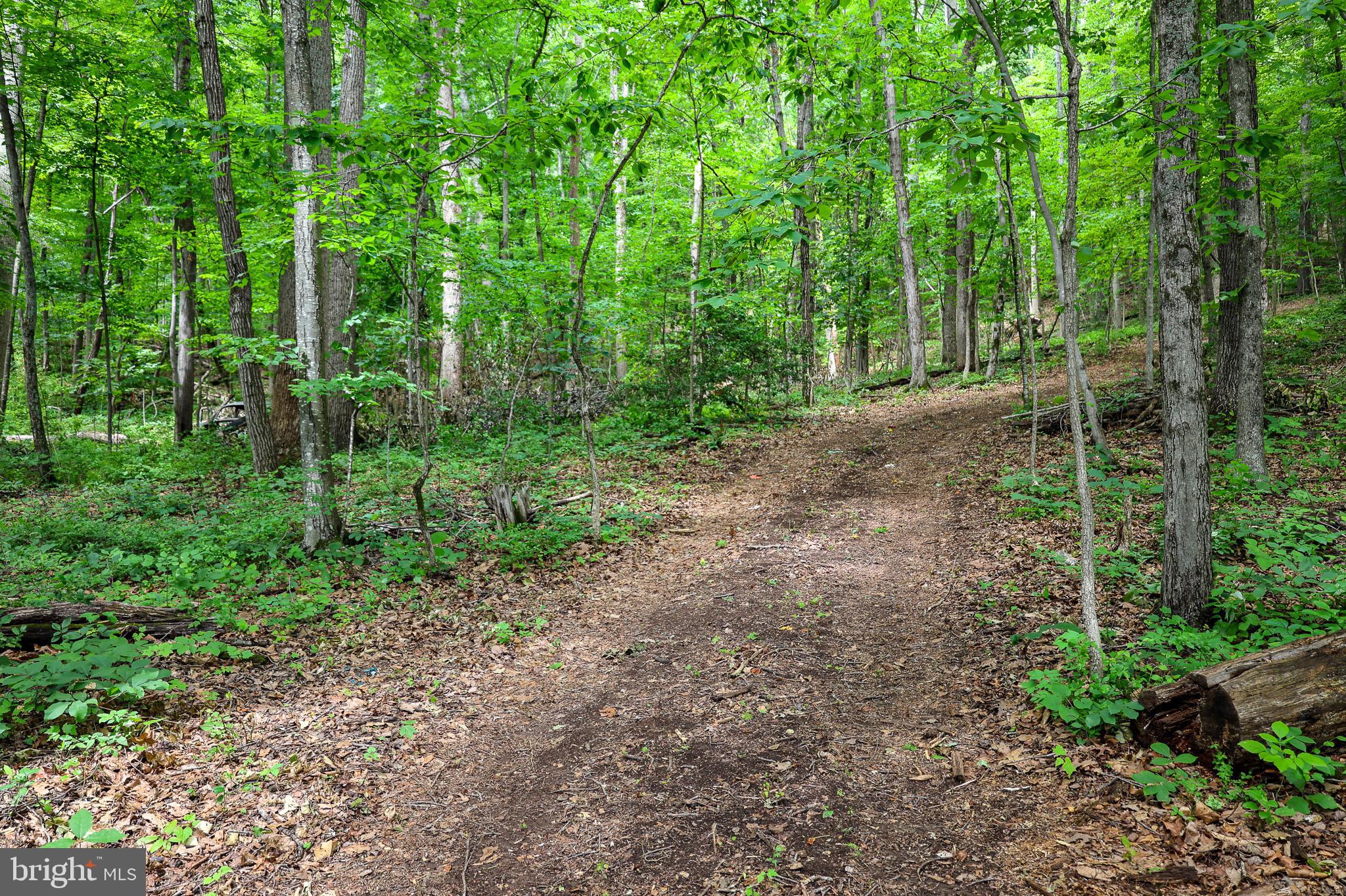 Tbd Comptons Road Castleton, VA 22716 - Photo 13 of 33