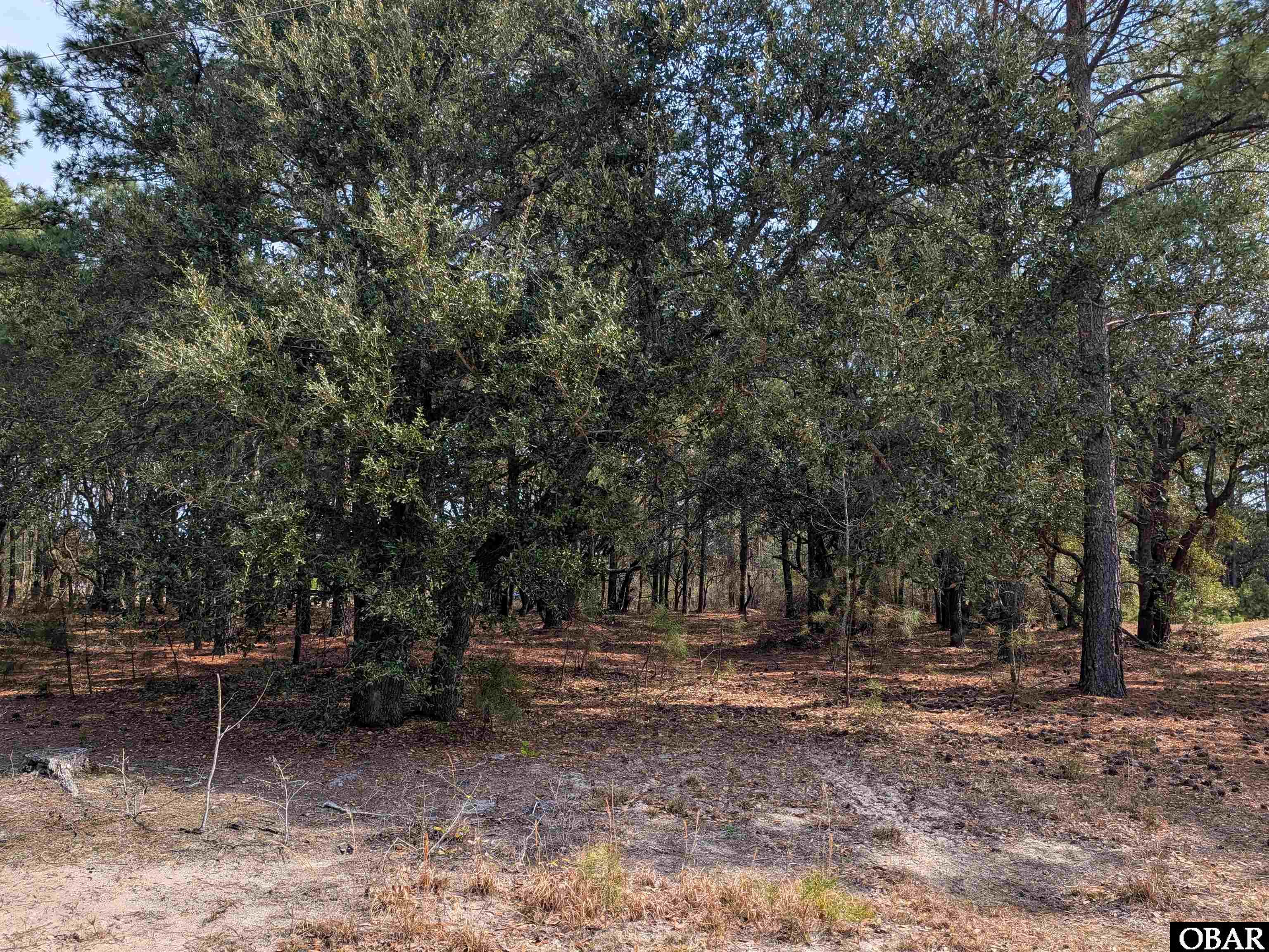 2021 Sea Gull Road Corolla, NC 27927 - Photo 2 of 17