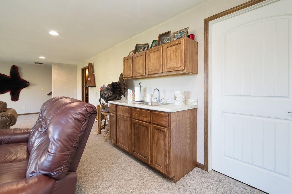 N5194 Blue Valley Road Herman, WI 53027 - Photo 13 of 61 wet bar