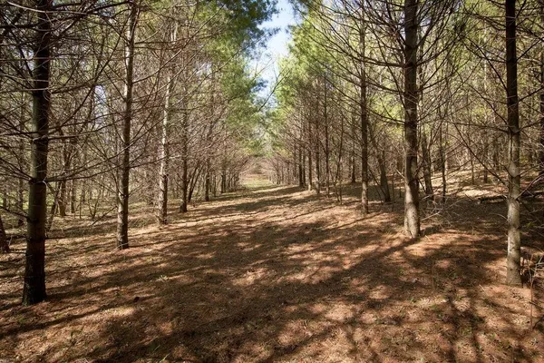 $1,490,000 | N5194 Blue Valley Road, Herman, WI 53027
