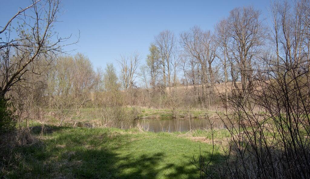 N5194 Blue Valley Road Herman, WI 53027 - Photo 5 of 61 pond