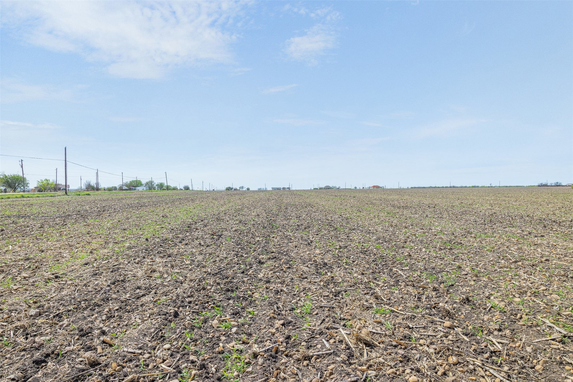 5340 Dreibrodt Road San Marcos, TX 78666 - Photo 15 of 40 a view of a field with trees in back