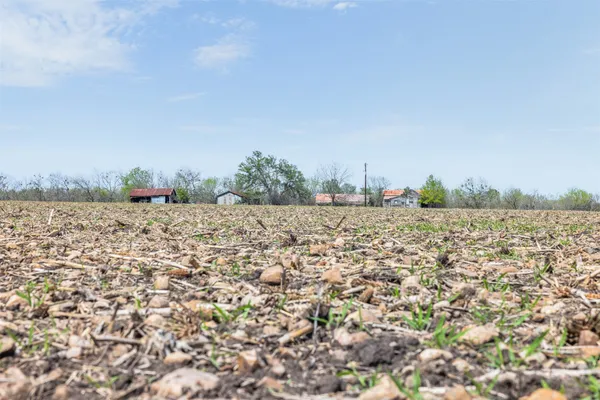 a view of a field with trees in background