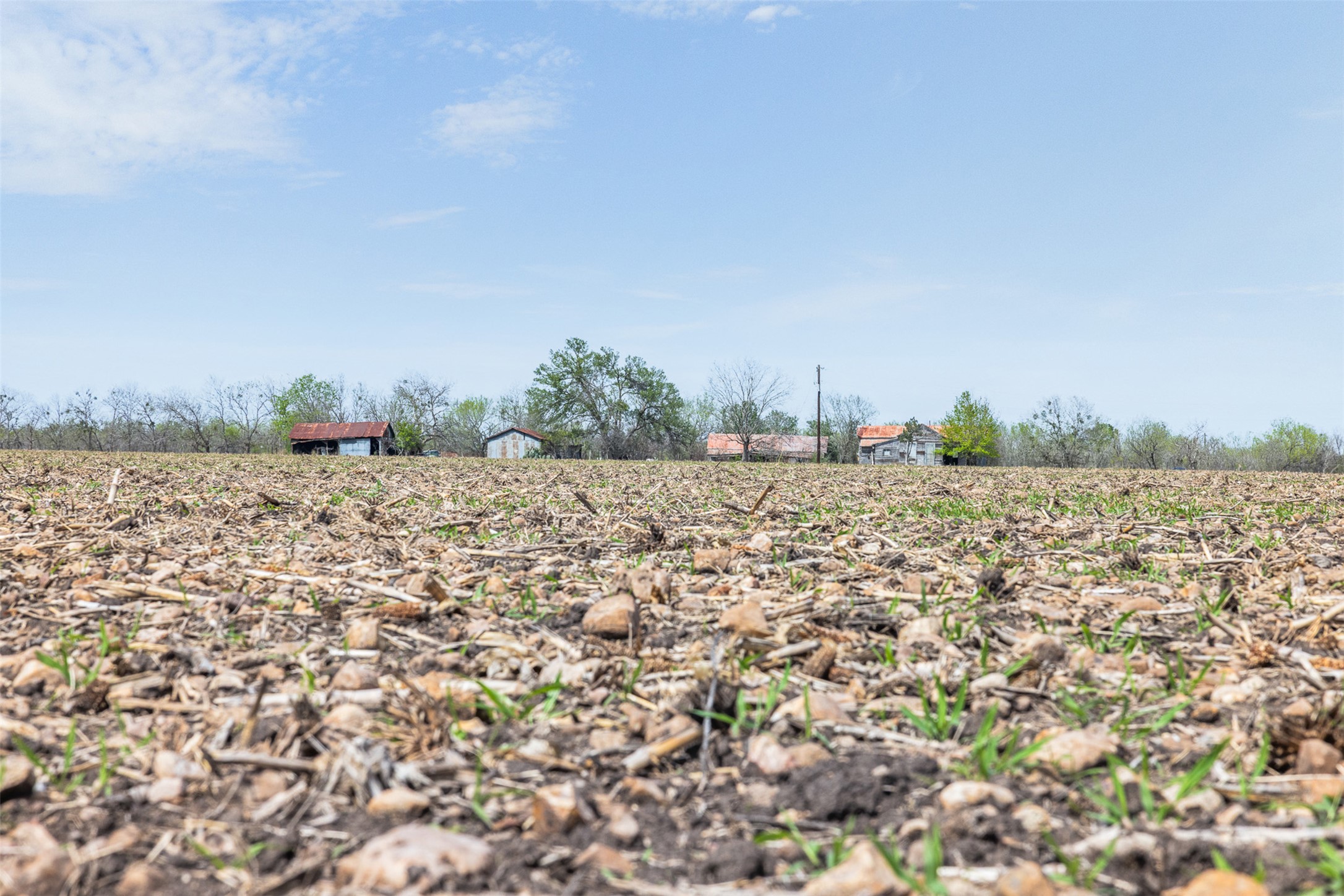 5340 Dreibrodt Road San Marcos, TX 78666 - Photo 16 of 40 a view of a field
