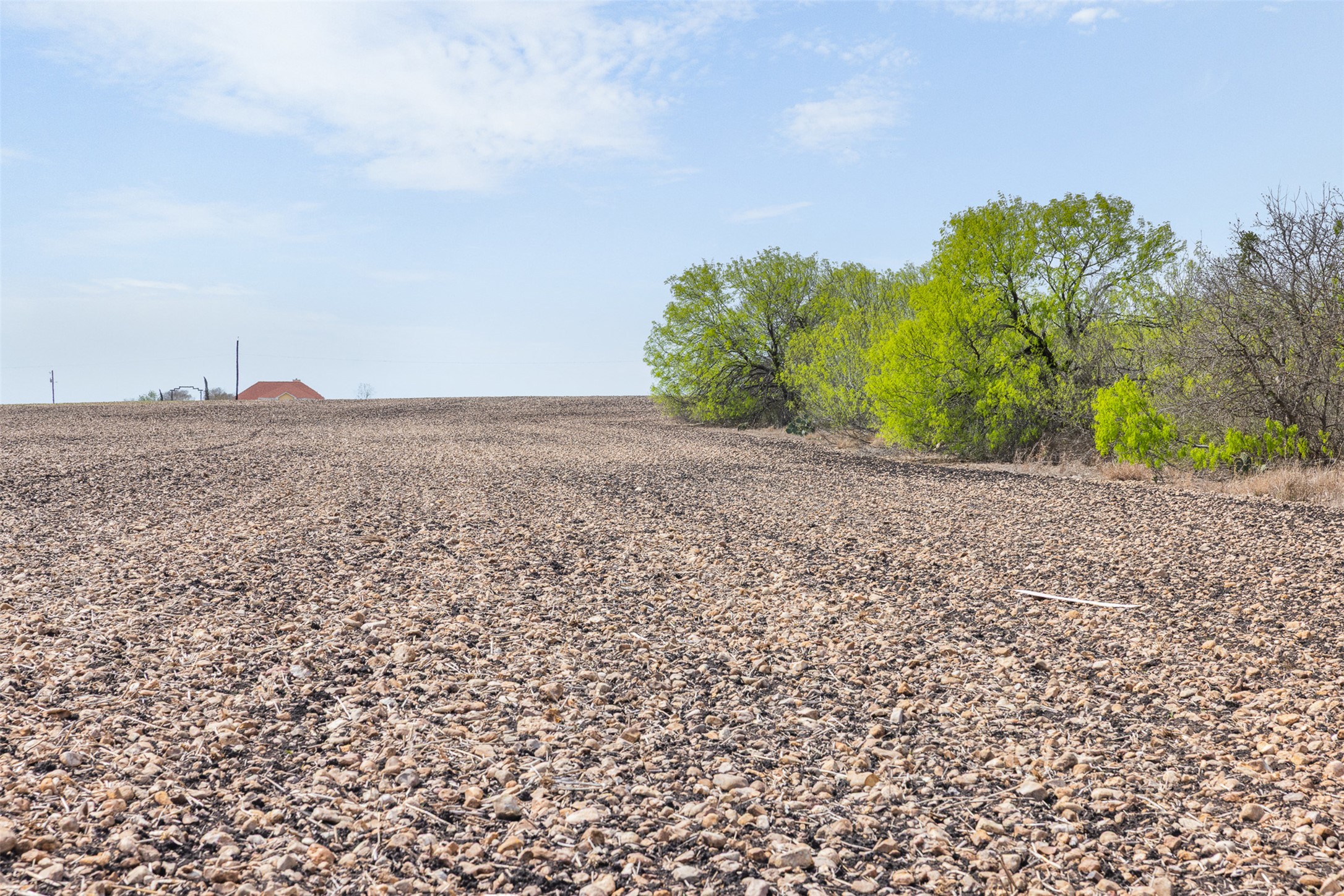5340 Dreibrodt Road San Marcos, TX 78666 - Photo 21 of 40 a view of a dry yard with plants and a bench