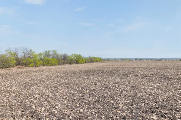 a view of a field with an ocean