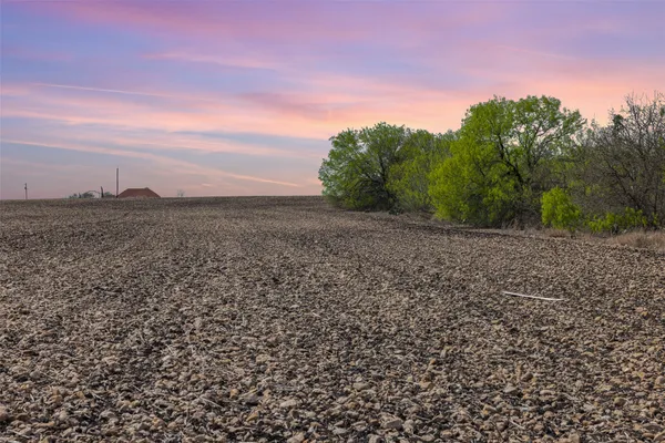 a view of a field with an ocean