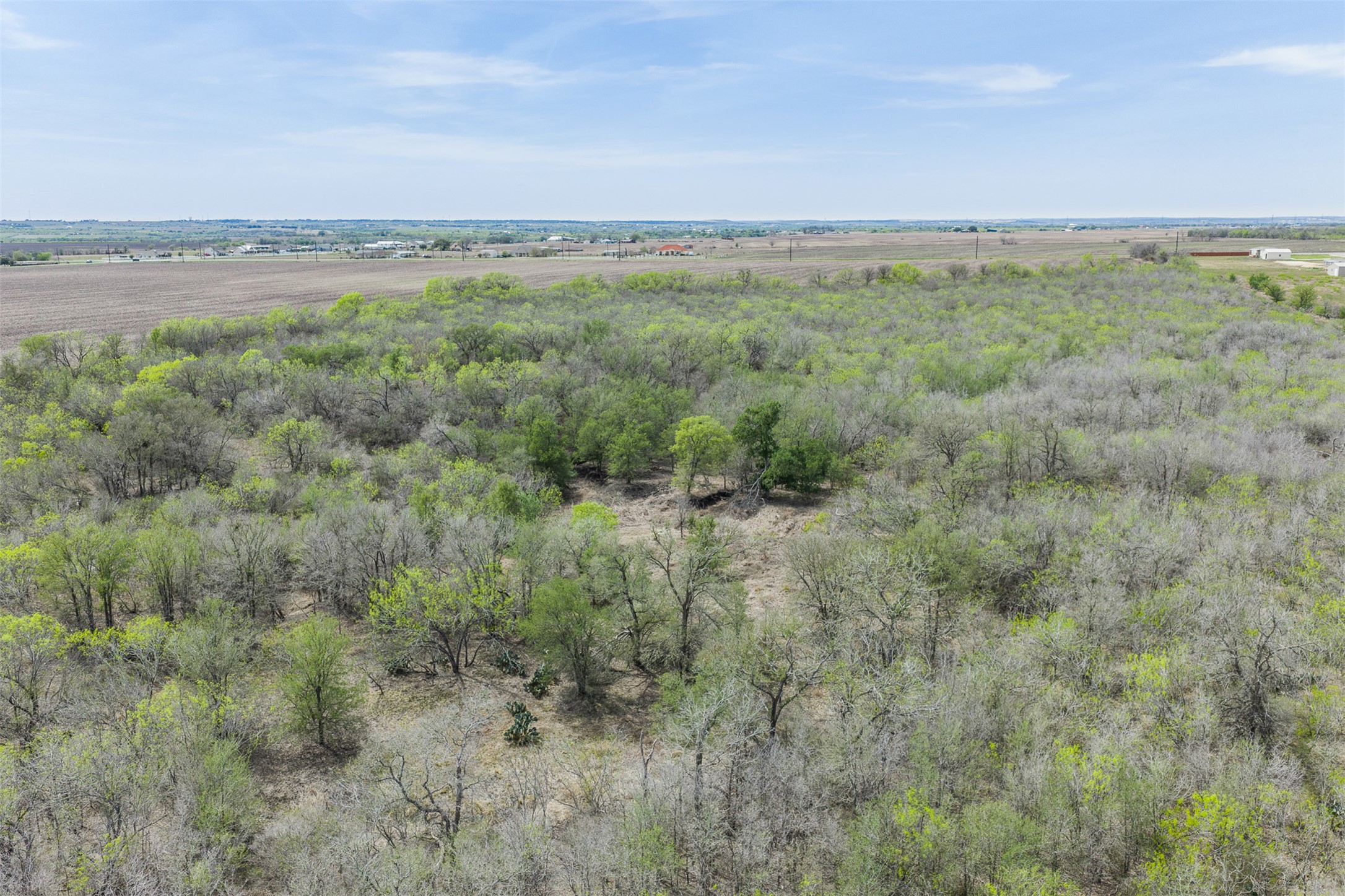 5340 Dreibrodt Road San Marcos, TX 78666 - Photo 34 of 40 a view of a green field with an trees in the background