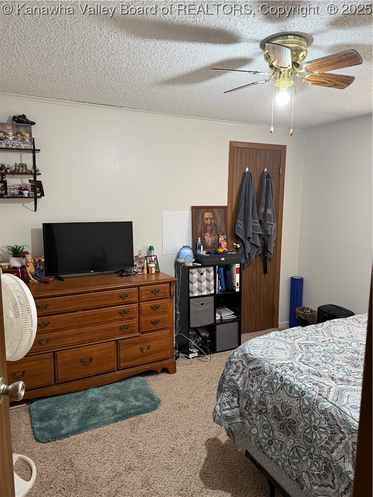2337 Big Pigeon Road Procious, WV 25164 - Photo 22 of 37 Gallery Image 22