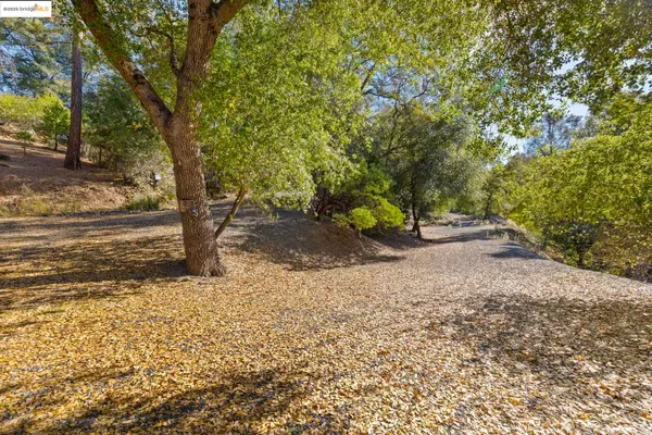 a view of a backyard with large trees
