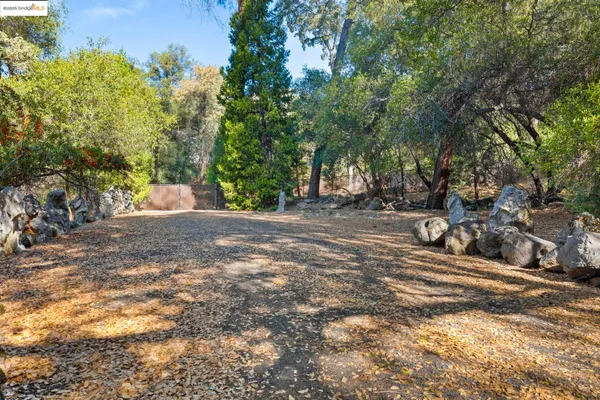 a view of a road with trees