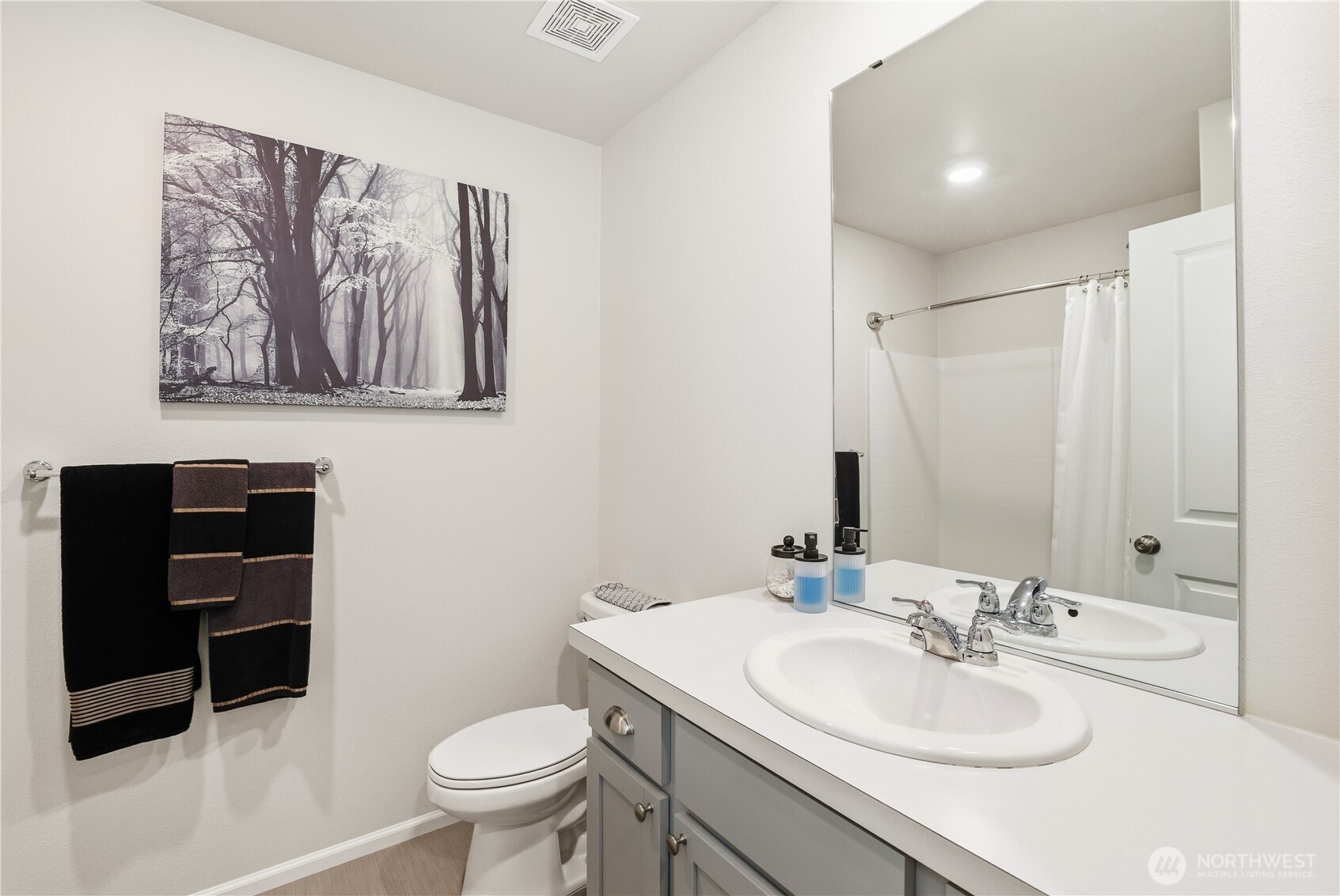 19908 135th Avenue East Graham, WA 98338 - Photo 27 of 39 a bathroom with a sink vanity mirror and toilet