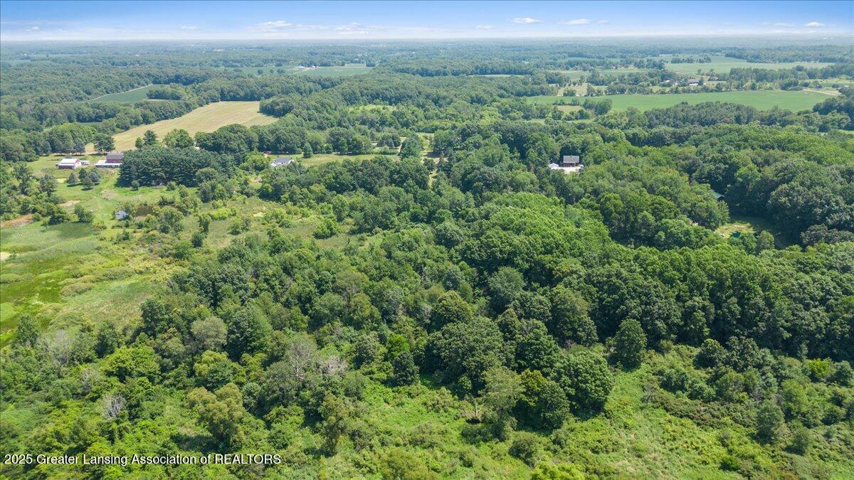 5038 Young Road Bellevue, MI 49021 - Photo 46 of 48 40-Media Jett - 04