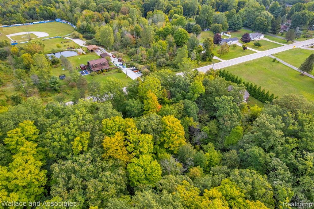 3559 Lightle Road North Street, MI 48049 - Photo 8 of 13 Gallery Image 8