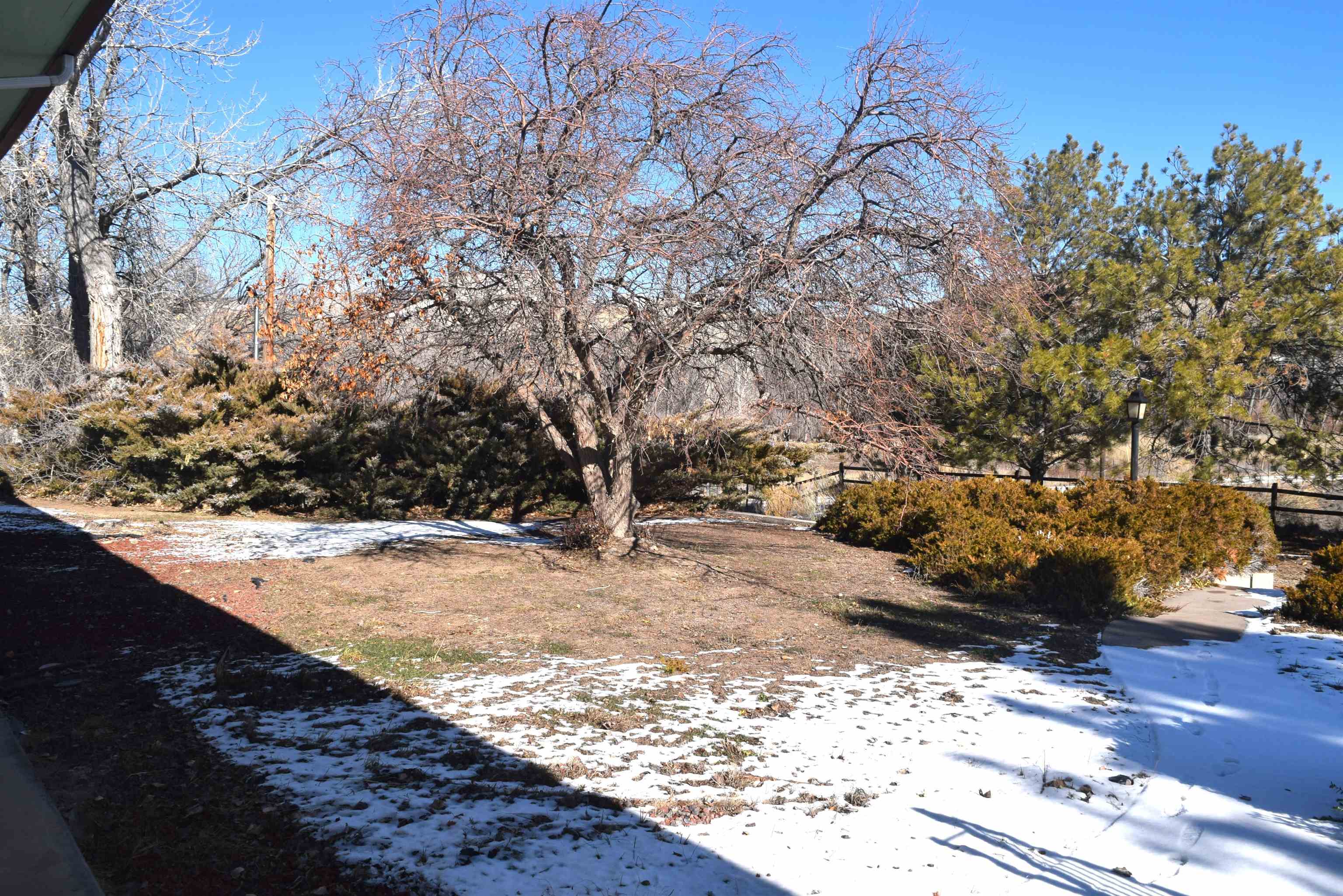 4399 44 Road De Beque, CO 81630 - Photo 25 of 31 a view of a yard covered with snow in front of house