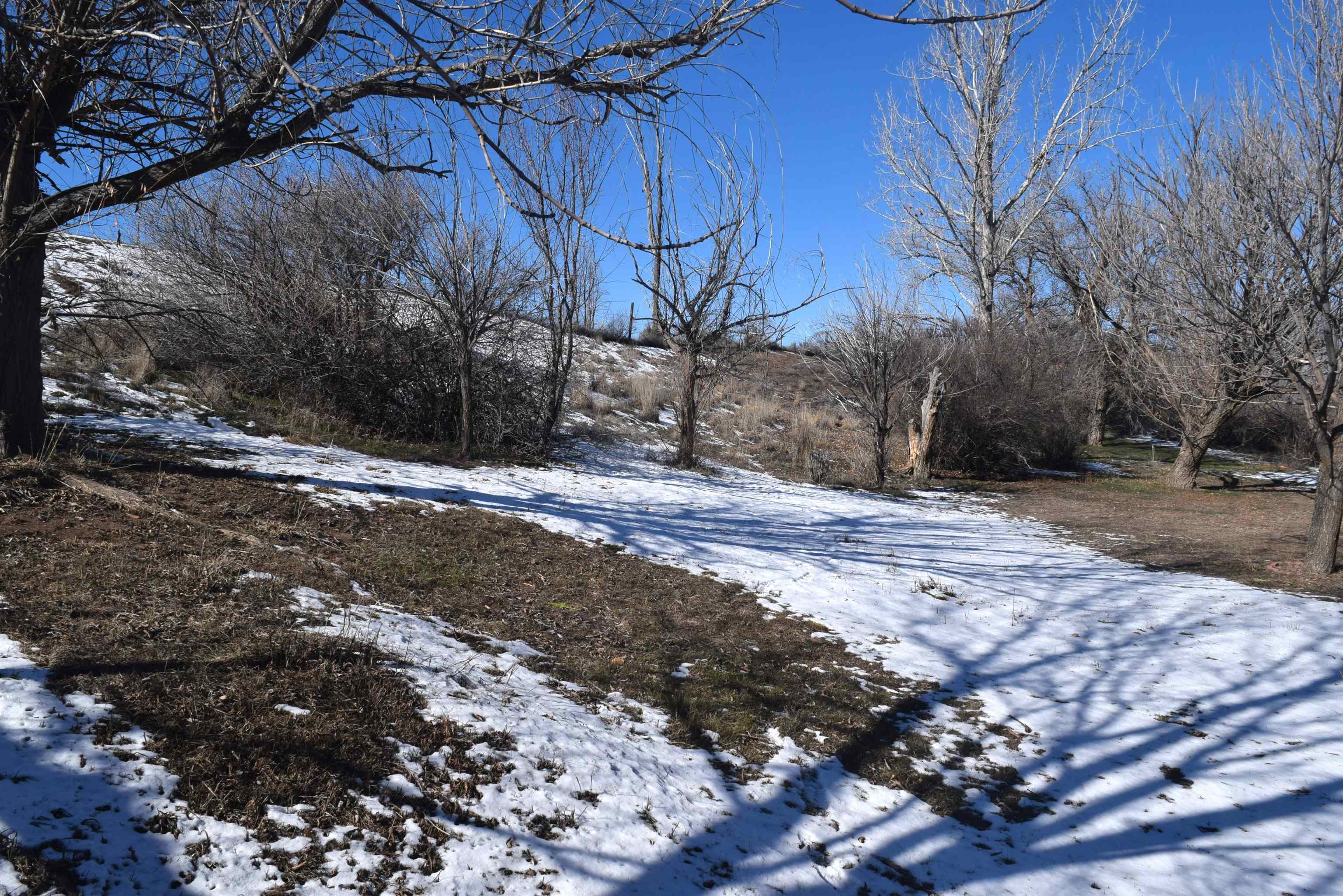 4399 44 Road De Beque, CO 81630 - Photo 27 of 31