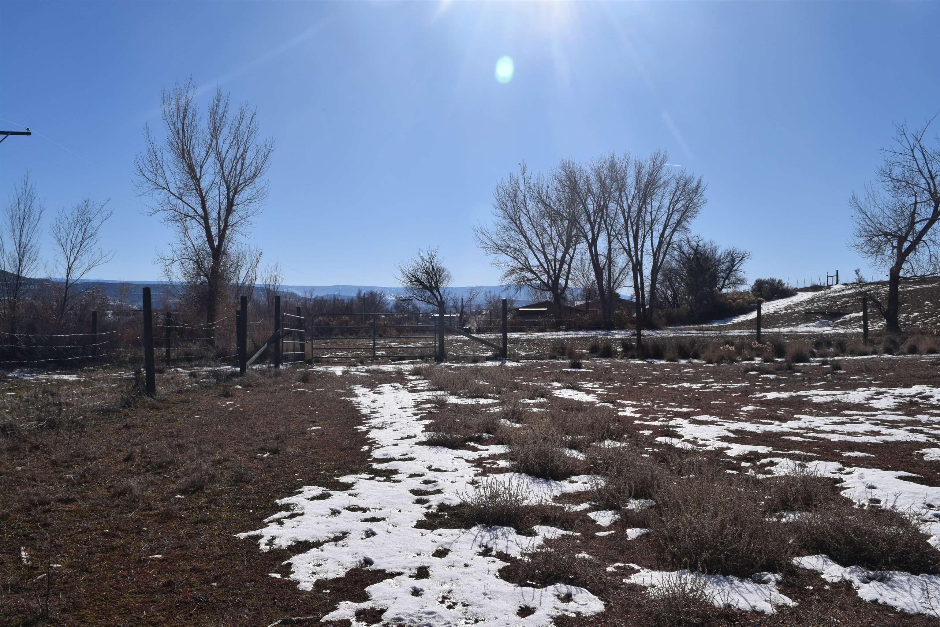 4399 44 Road De Beque, CO 81630 - Photo 29 of 31 a view of a yard with a tree