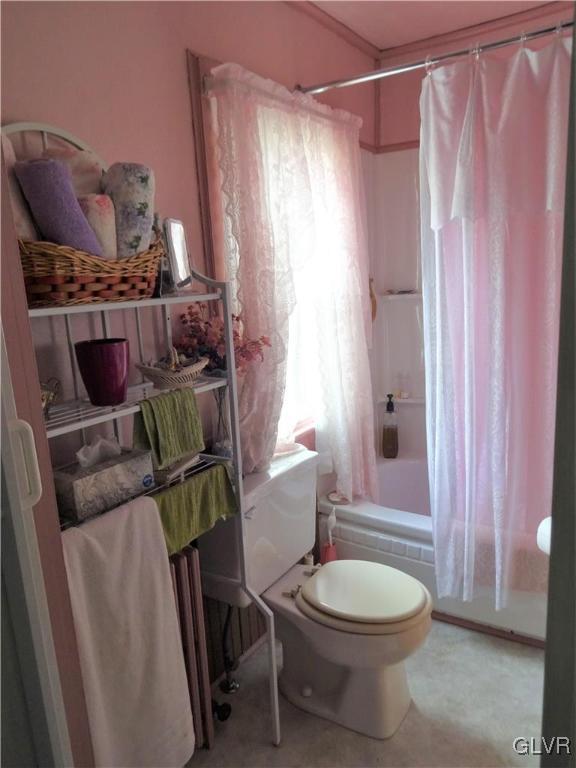 583 Shooktown Road Bangor, PA 18013 - Photo 33 of 44 a bathroom with a toilet a sink and a mirror