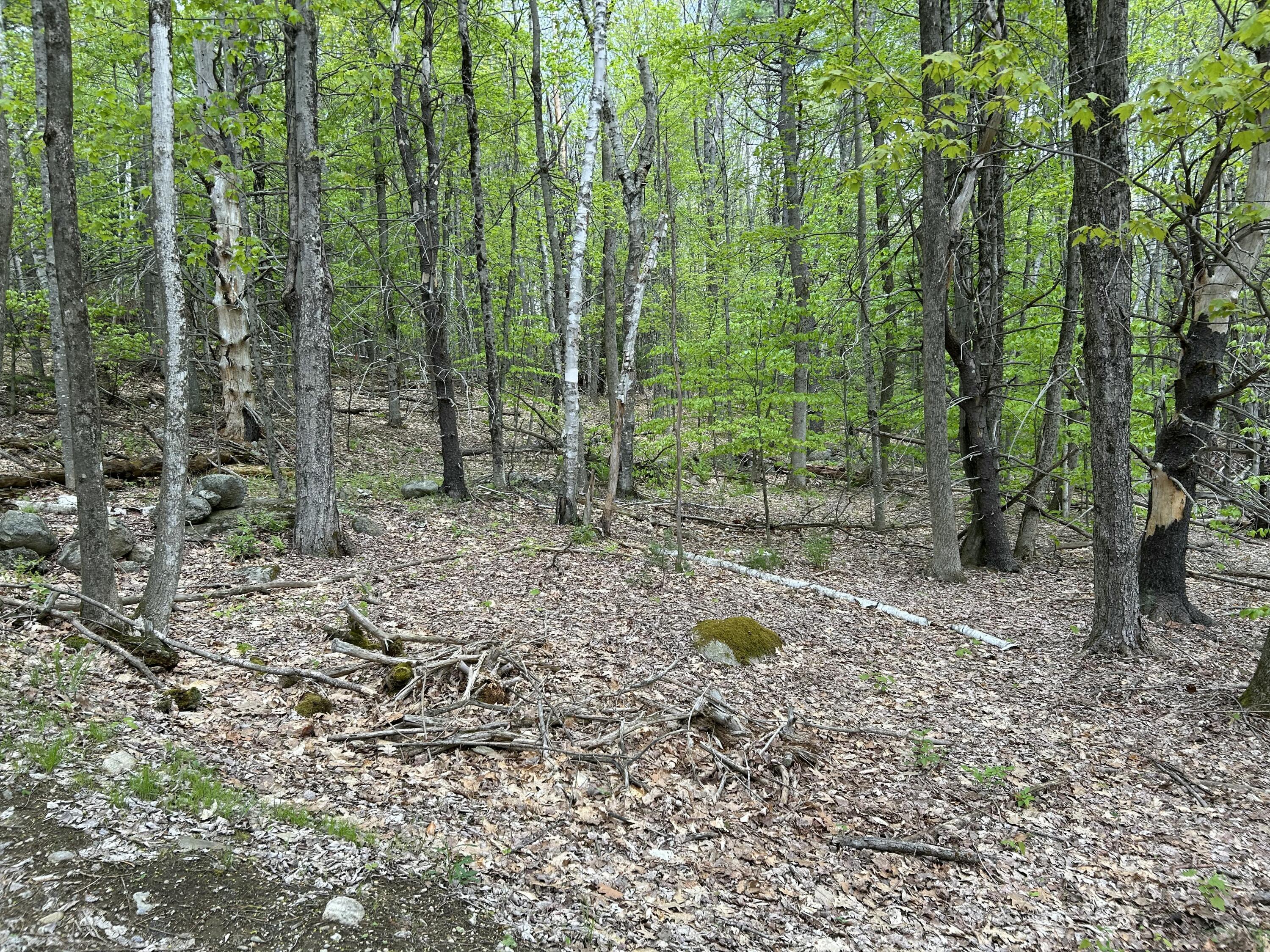 281 Randall Road Lewiston, ME 04240 - Photo 31 of 31