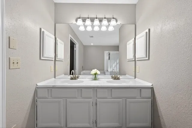 a bathroom with a sink and a mirror