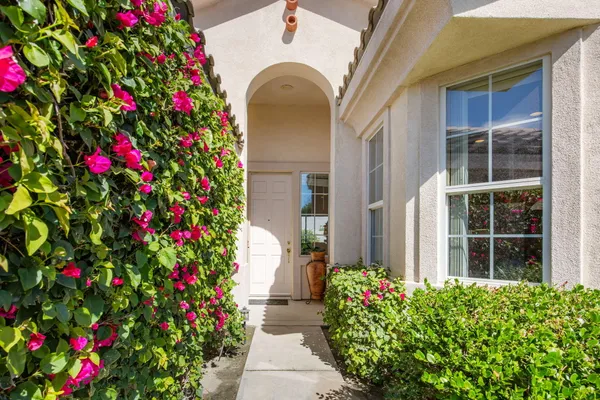 a front view of a house with lots of flower and flowers