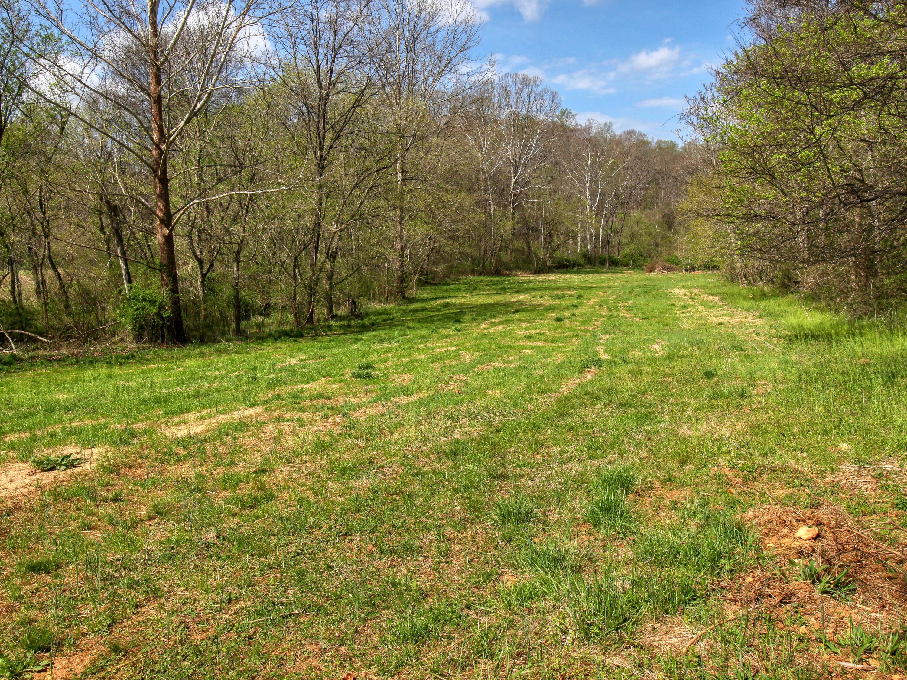 498 Meeks Road Penhook, VA 24137 - Photo 70 of 74 a view of a yard with trees