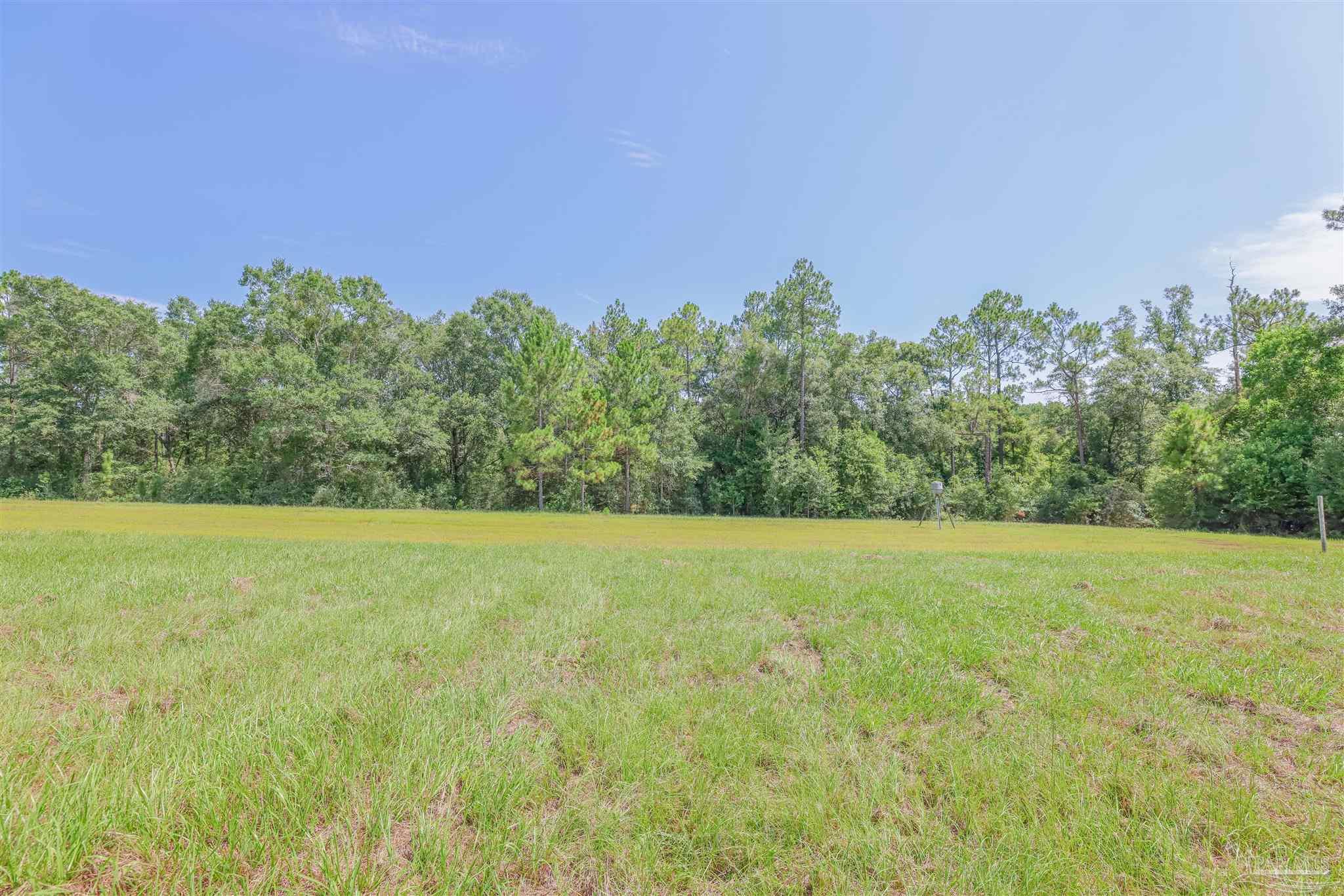1400 Jacks Branch Road Cantonment, FL 32533 - Photo 12 of 18
