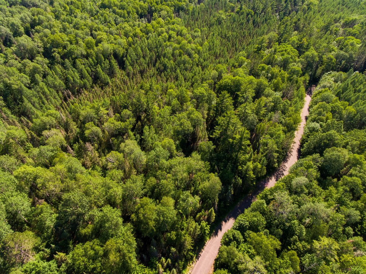 Lot 9 Moonshine Valley Road Presque Isle, WI 54557 - Photo 6 of 19 Gallery Image 6