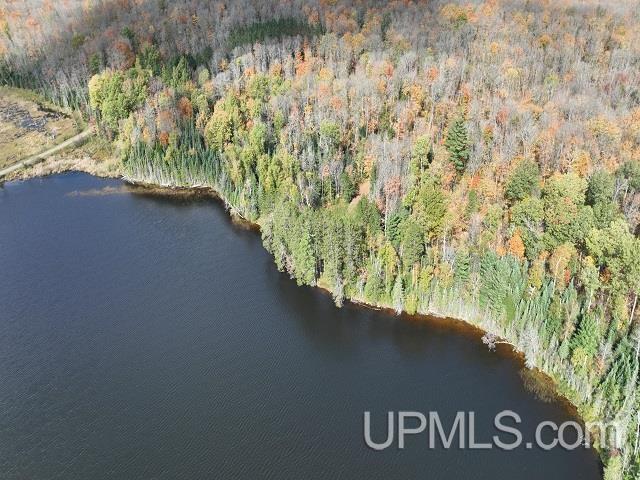 5800 Wolf Lake Road Watersmeet, MI 49969 - Photo 79 of 86