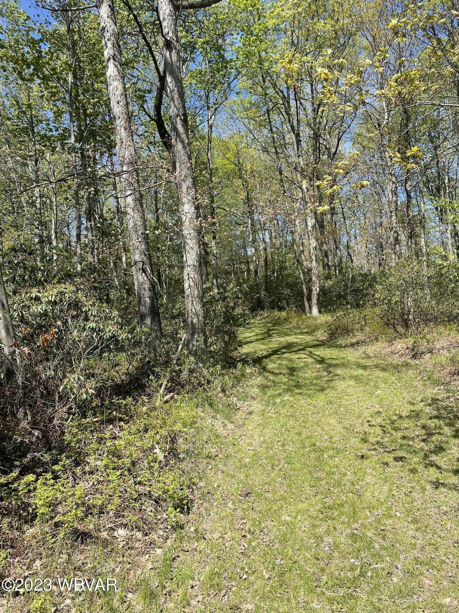 Laurel Ridge Rd Lock Haven, Unit 28 Lock Haven, PA 17745 - Photo 2 of 3 Gallery Image 2