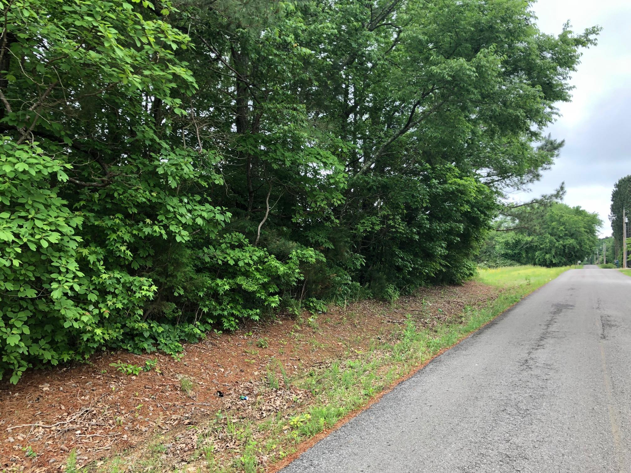 0 Dan Crutcher Road Toney, AL 35773 - Photo 2 of 3 a view of a road with plants and a building