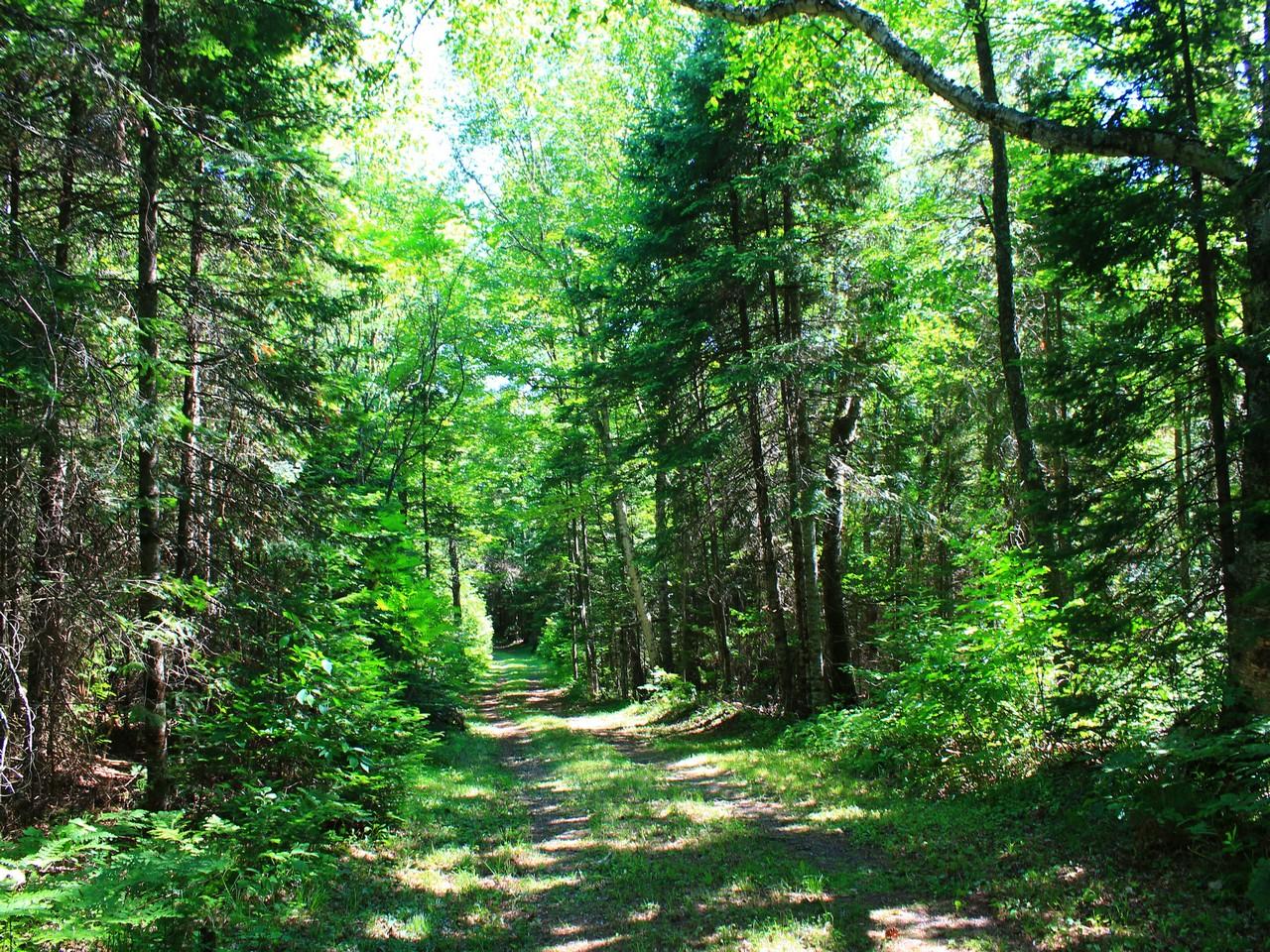 2892 Bisenius Road Park Falls, WI 54552 - Photo 37 of 39 Gallery Image 37
