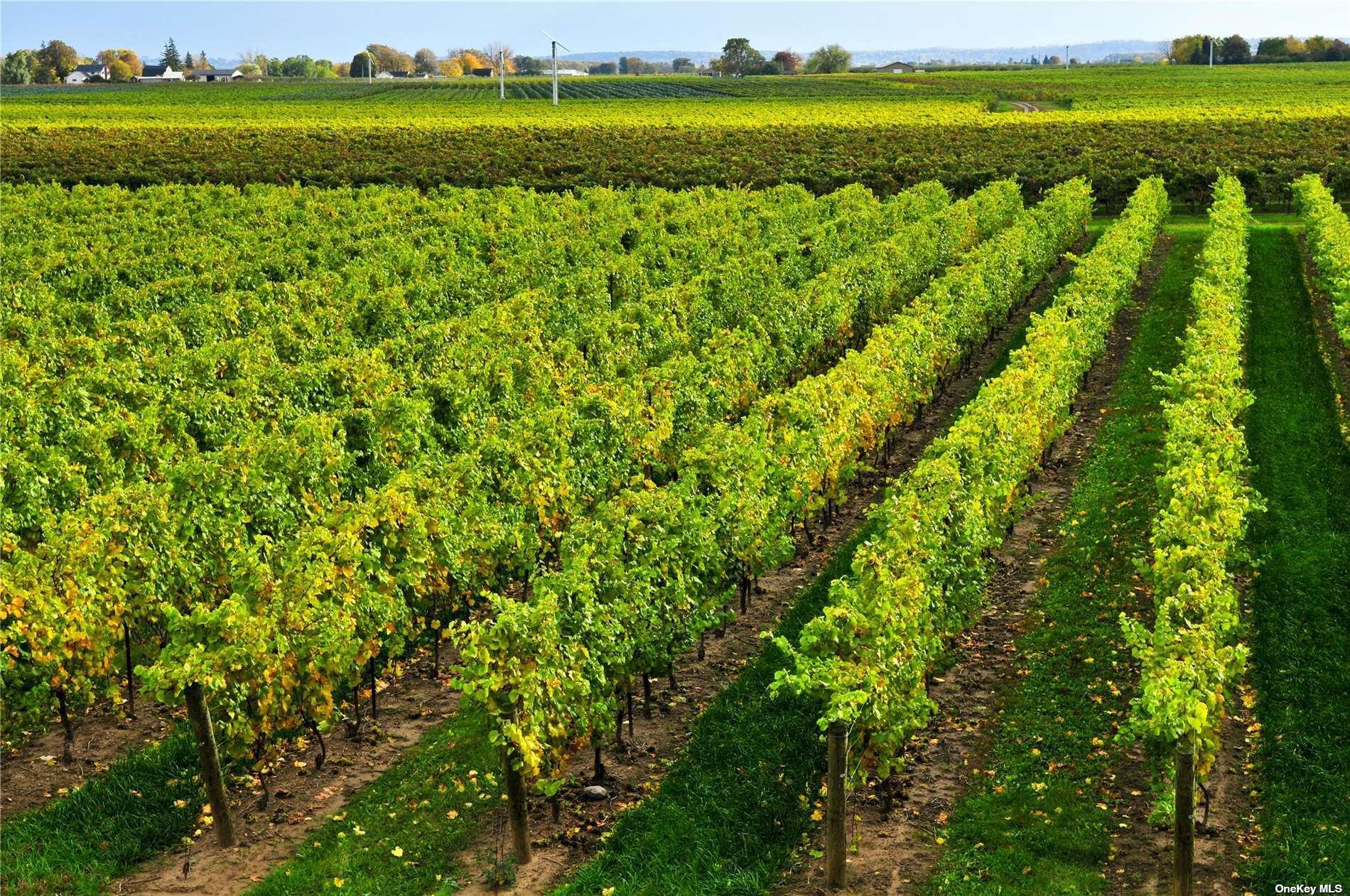 400 Hill Road Southold, NY 11971 - Photo 22 of 27