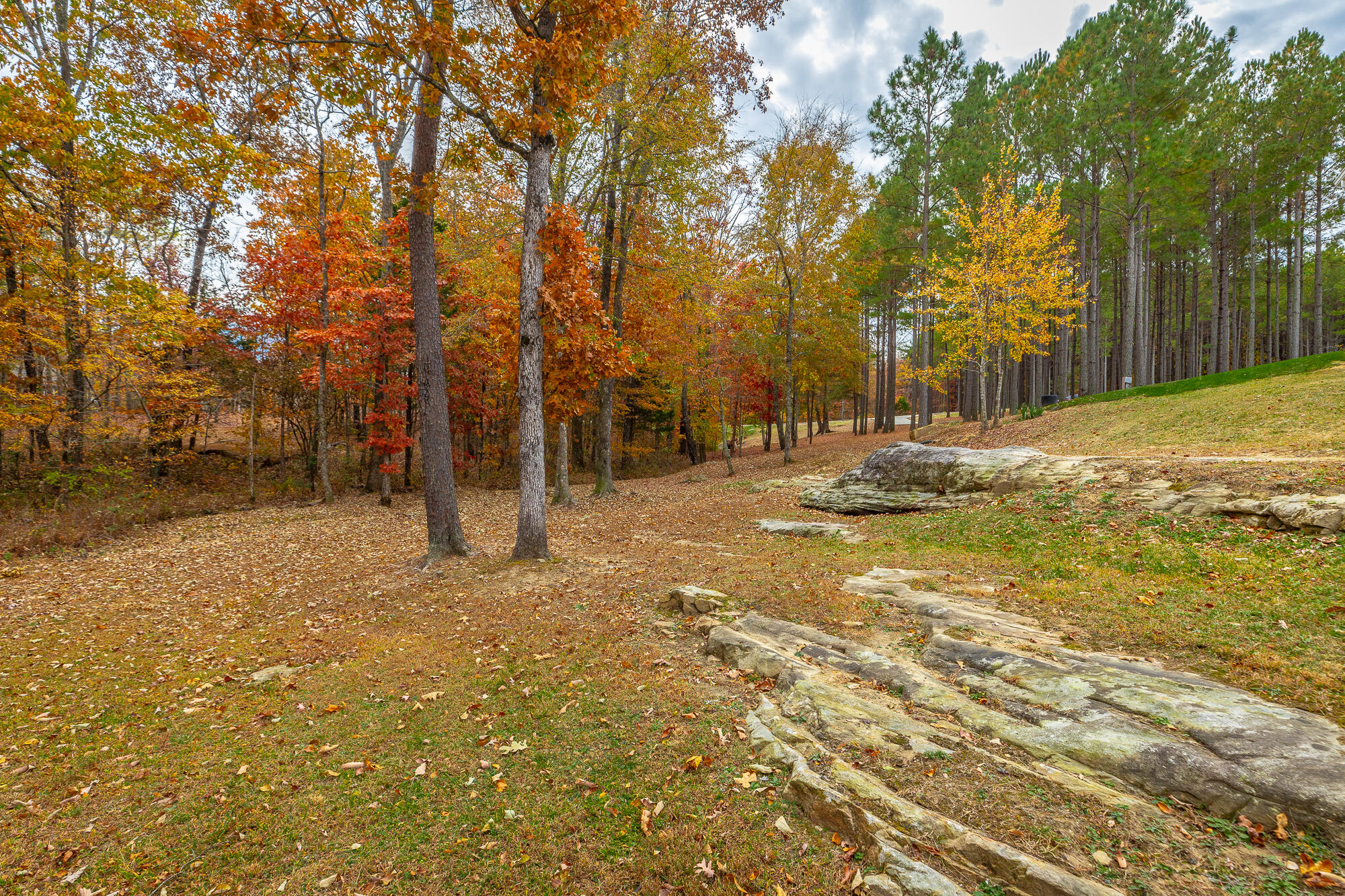 235 High Point Lane Jasper, TN 37347 - Photo 98 of 151 235 High Point Ln. HD-41