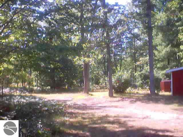 6793 East County Line Road South Branch, MI 48761 - Photo 6 of 9 1754065-5.JPG