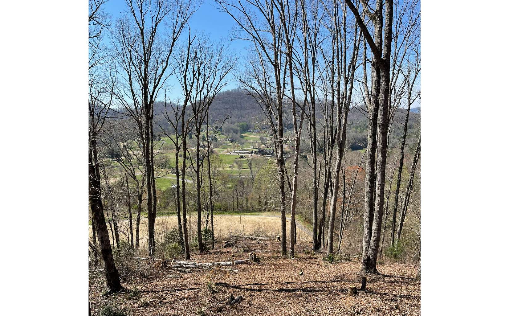 17 M Ridges Hayesville, NC 28904 - Photo 17 of 31 Additional View