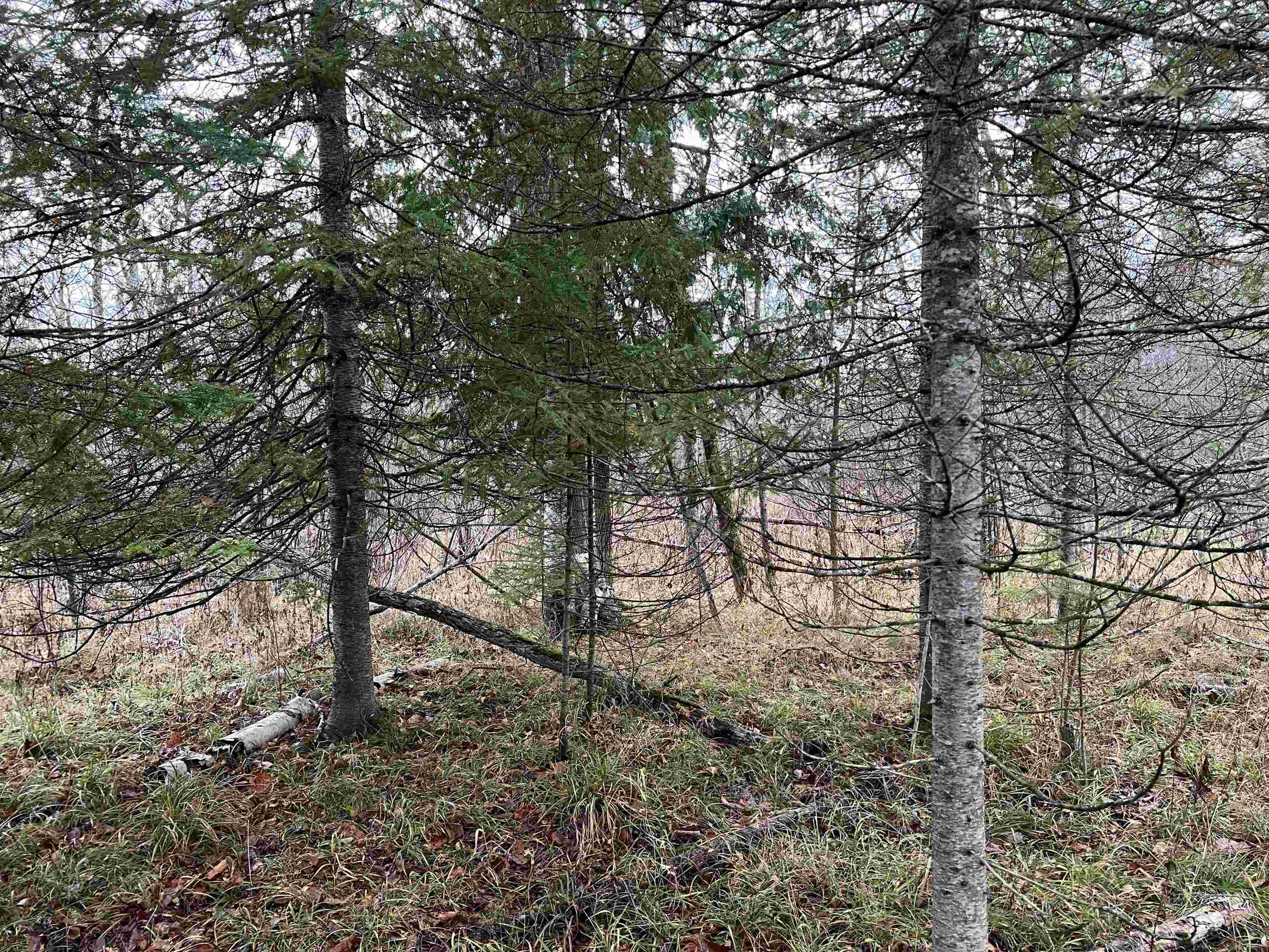 Long Rapids Road Alpena, MI 49707 - Photo 13 of 47 Gallery Image 13