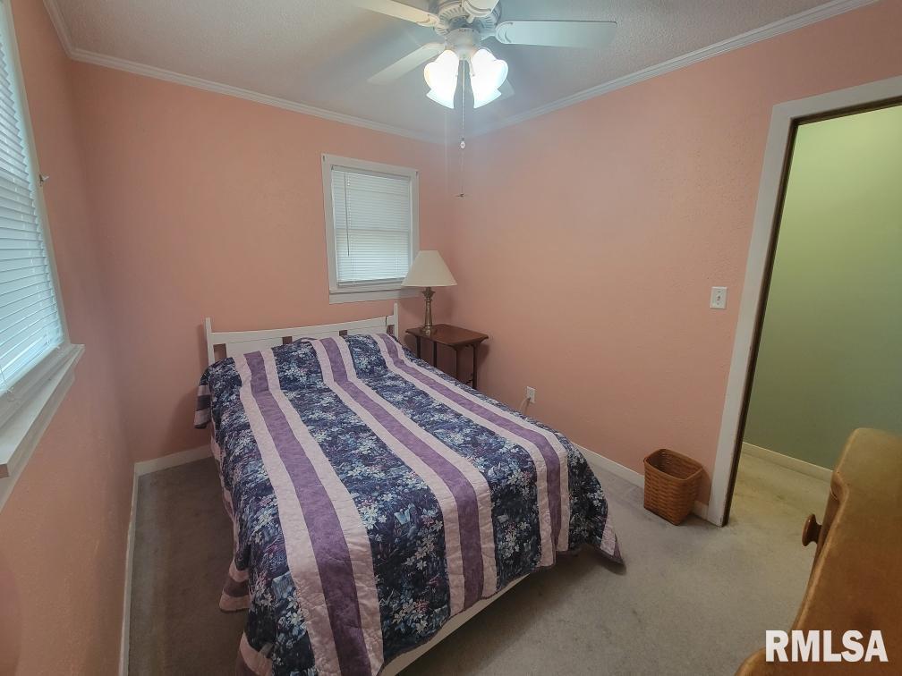 3321 Rita Avenue Springfield, IL 62703 - Photo 15 of 29