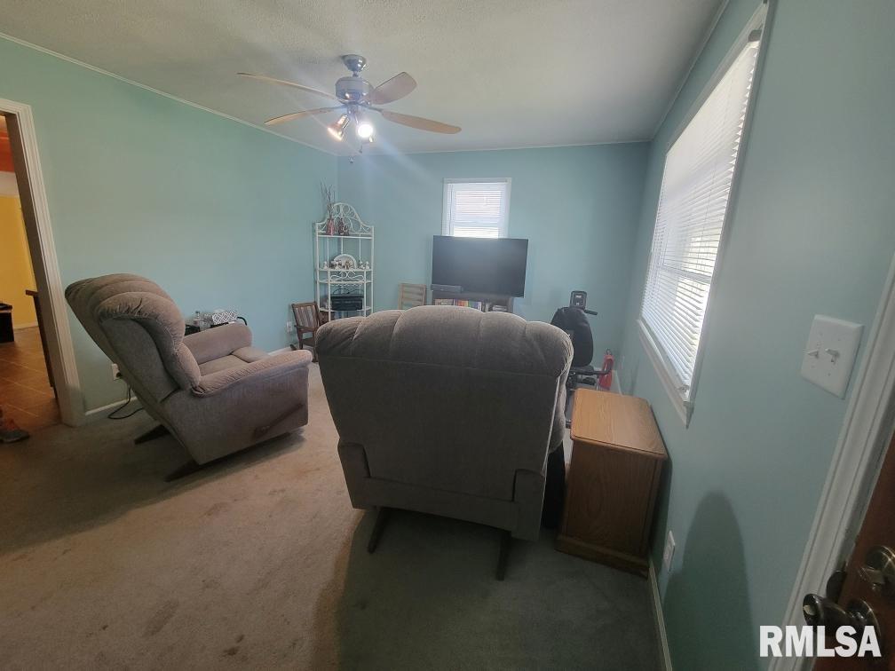 3321 Rita Avenue Springfield, IL 62703 - Photo 7 of 29